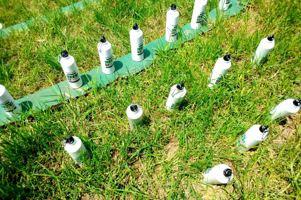 Bottle Campaign Clean Up Kenya